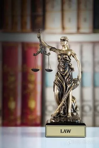 无罪辩护期限制多久