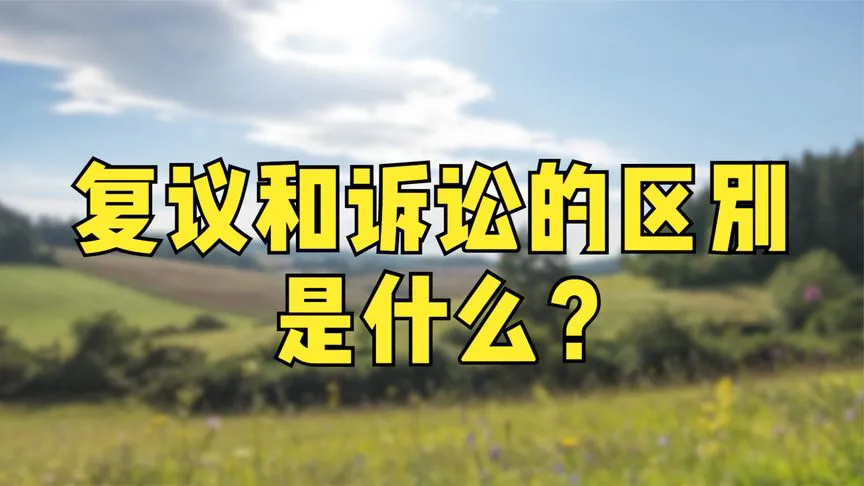 复议和诉讼的区别是什么